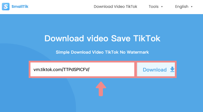 download video tiktok mp3