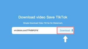save tiktok no watermark