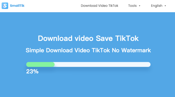 tiktok downloader without watermark