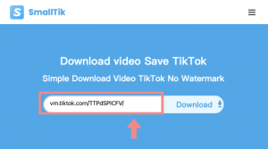 save from tiktok no watermark
